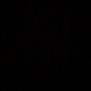 Meet your Posher, Layla